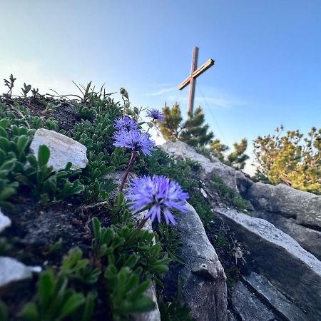Ferienwohnung Gasser Hahnenkamm Blick Reutte Exteriér fotografie