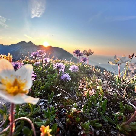 Ferienwohnung Gasser Hahnenkamm Blick Reutte Exteriér fotografie