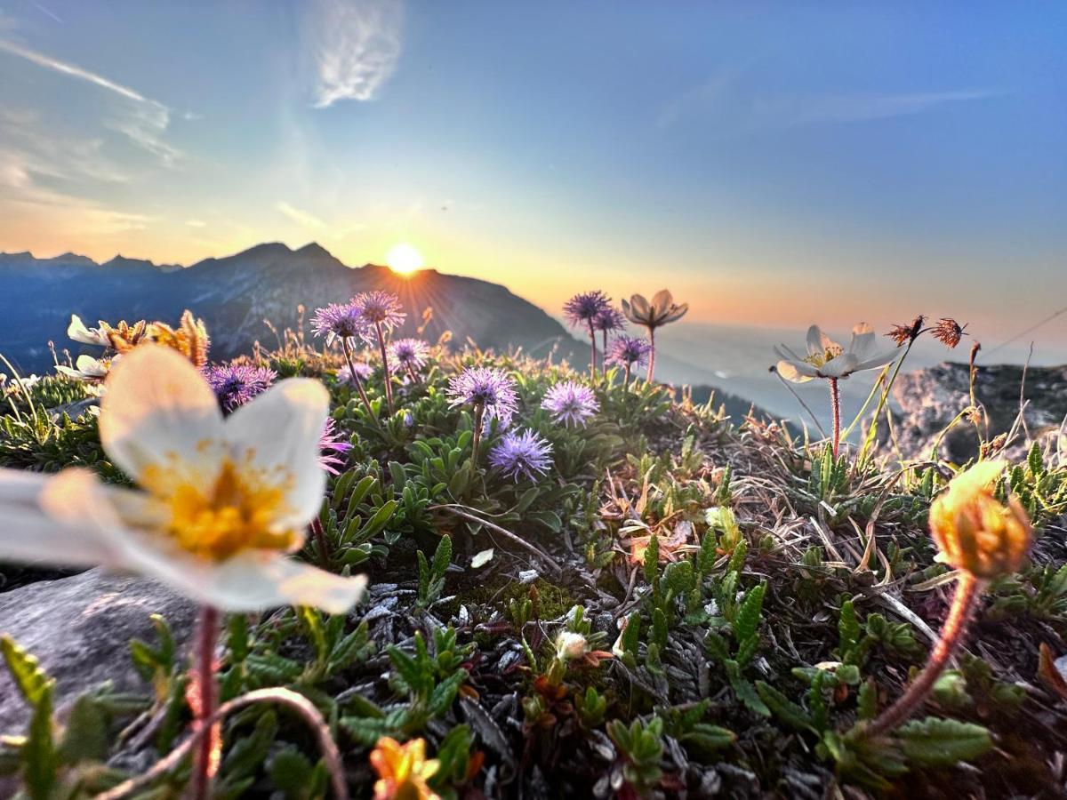 Ferienwohnung Gasser Hahnenkamm Blick Reutte Exteriér fotografie